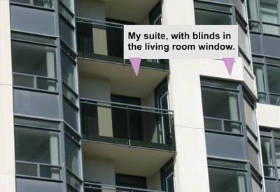 my suite
