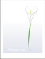 Another flower, cover of card