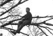 1969, chunky loaner in a tree.